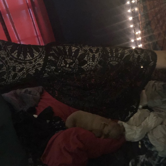 Lace top - Picture 3 of 4